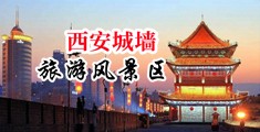 美女阴毛被插进去视频中国陕西-西安城墙旅游风景区